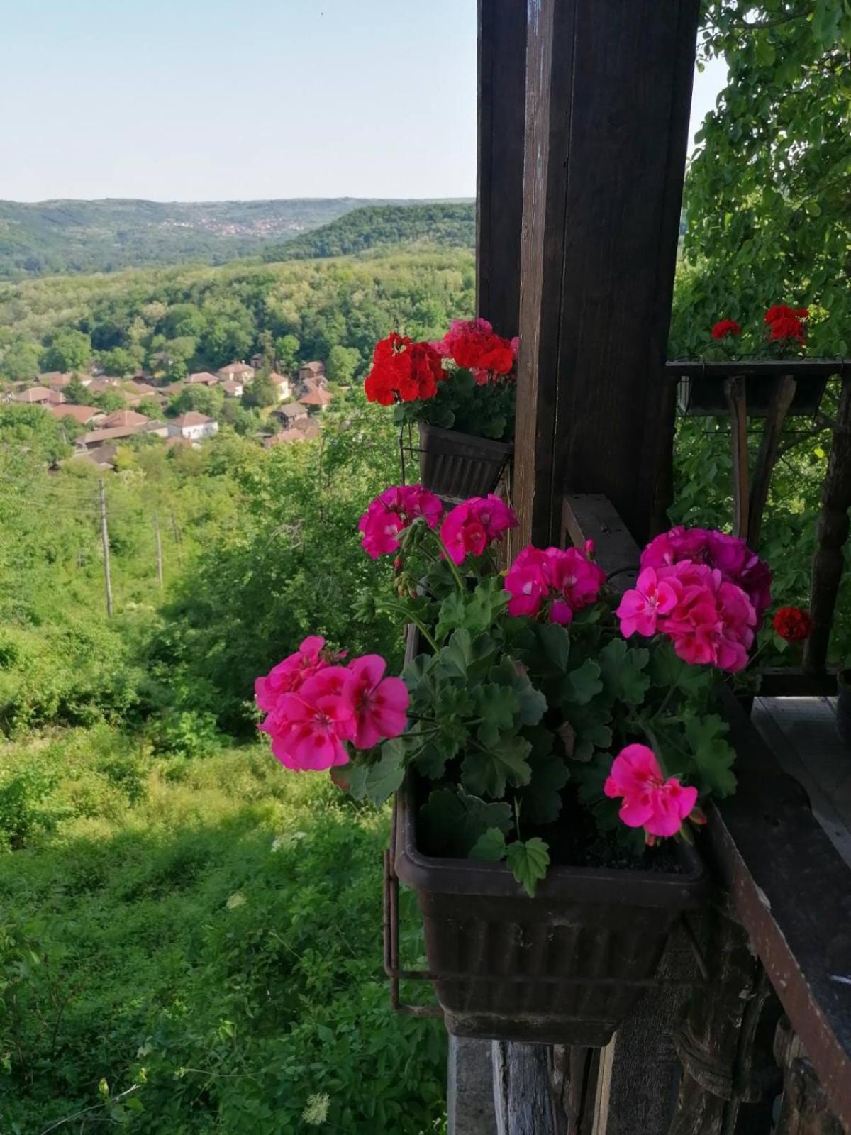 Apartament Country House Pivnica Milic Rogljevo Zewnętrze zdjęcie