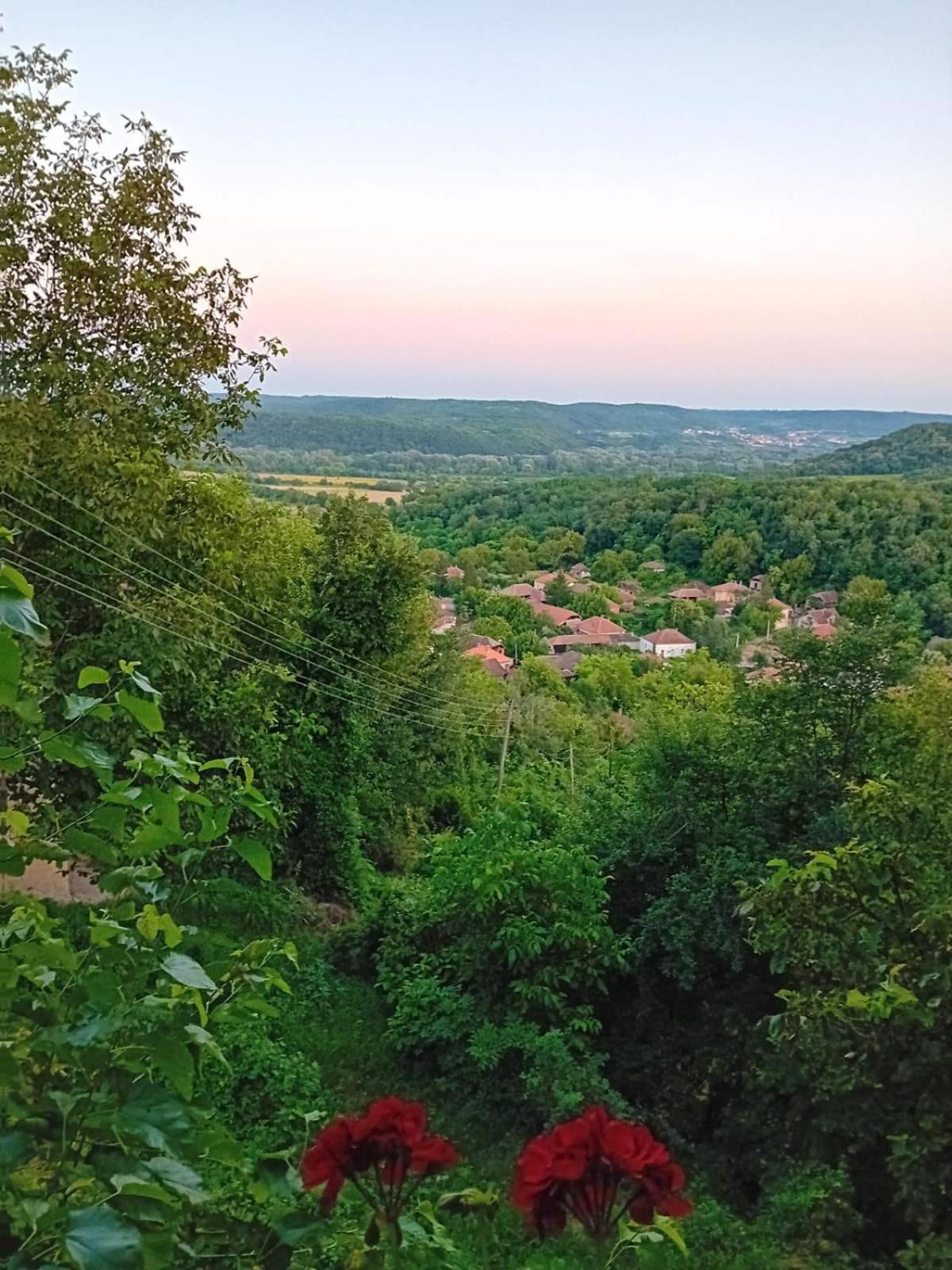 Apartament Country House Pivnica Milic Rogljevo Zewnętrze zdjęcie